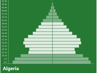 Algeria Population Pyramid