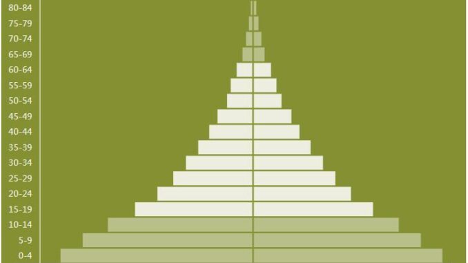 Angola Population Pyramid