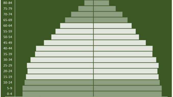 Argentina Population Pyramid