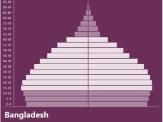 Bangladesh Population Pyramid