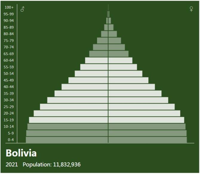 Bolivia Population Pyramid