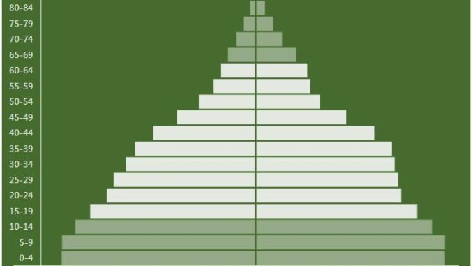 Botswana Population Pyramid