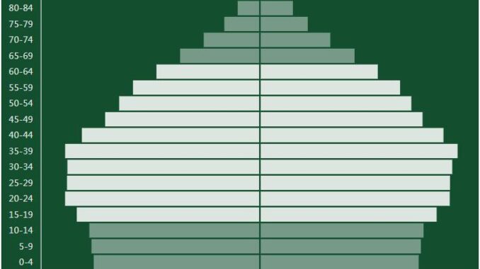 Brazil Population Pyramid
