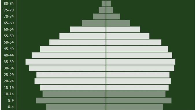 Brunei Population Pyramid
