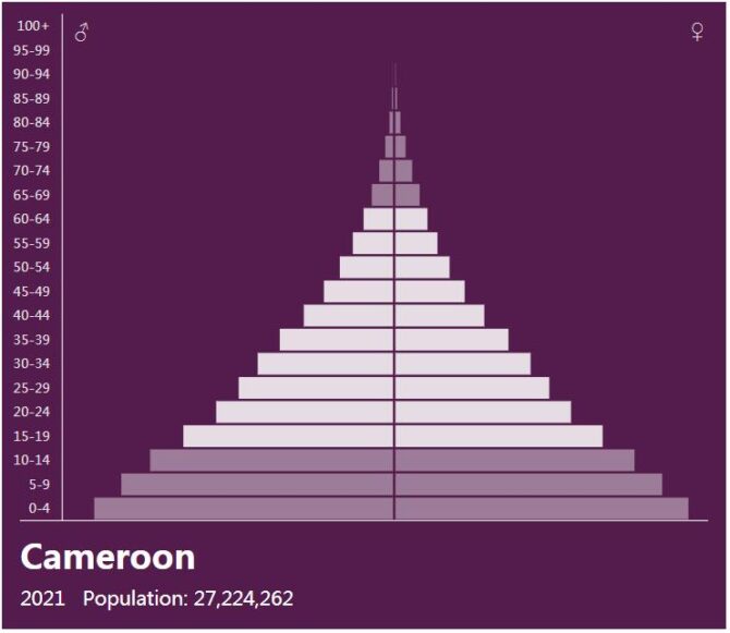 Cameroon Population Pyramid