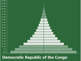 Democratic Republic of the Congo Population Pyramid