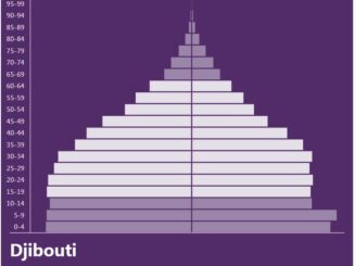 Djibouti Population Pyramid
