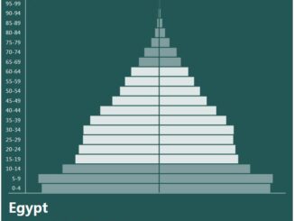 Egypt Population Pyramid