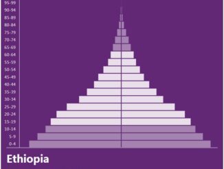 Ethiopia Population Pyramid