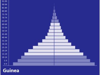 Guinea Population Pyramid
