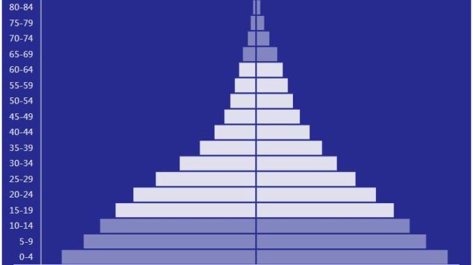 Guinea Population Pyramid