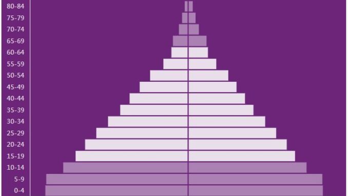 Iraq Population Pyramid