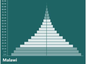 Malawi Population Pyramid