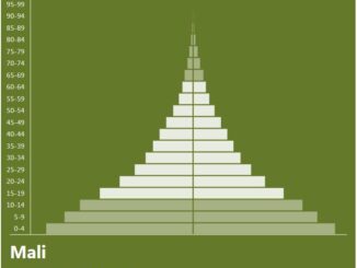 Mali Population Pyramid