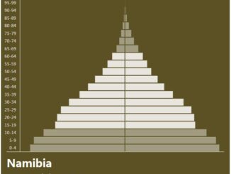 Namibia Population Pyramid