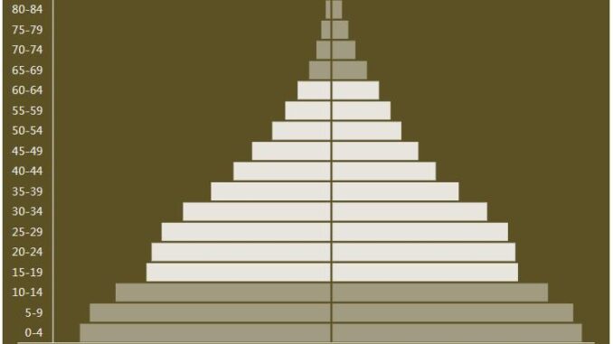 Namibia Population Pyramid