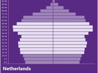 Netherlands Population Pyramid