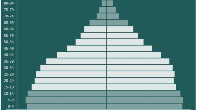 Nicaragua Population Pyramid