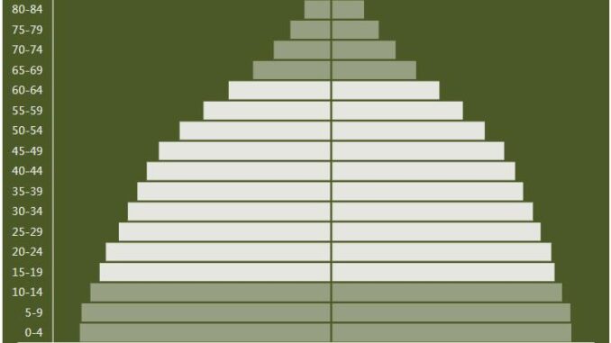 Panama Population Pyramid
