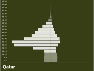 Qatar Population Pyramid