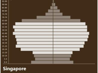 Singapore Population Pyramid