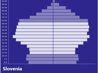 Slovenia Population Pyramid