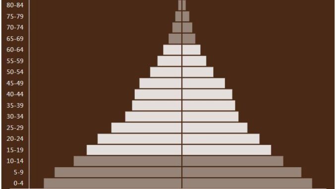 Solomon Islands Population Pyramid