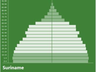 Suriname Population Pyramid