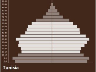 Tunisia Population Pyramid
