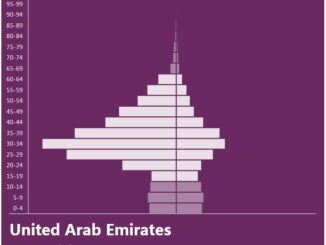 United Arab Emirates Population Pyramid