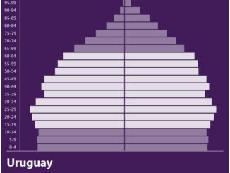 Uruguay Population Pyramid