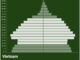 Vietnam Population Pyramid